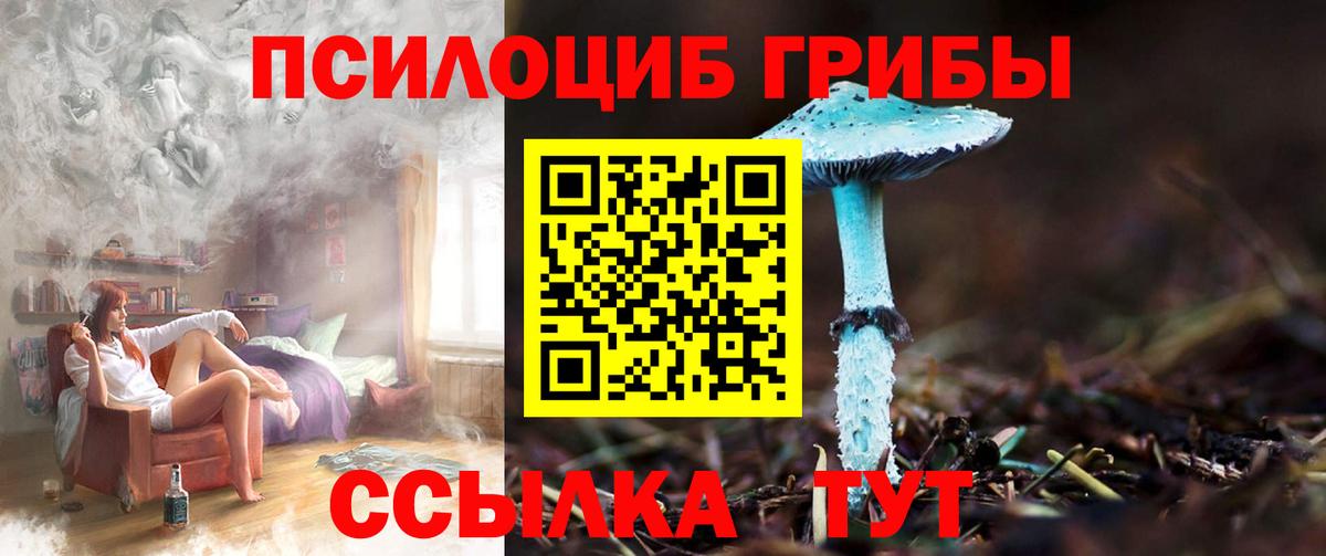 Галлюциногенные грибы мицелий Чистополь